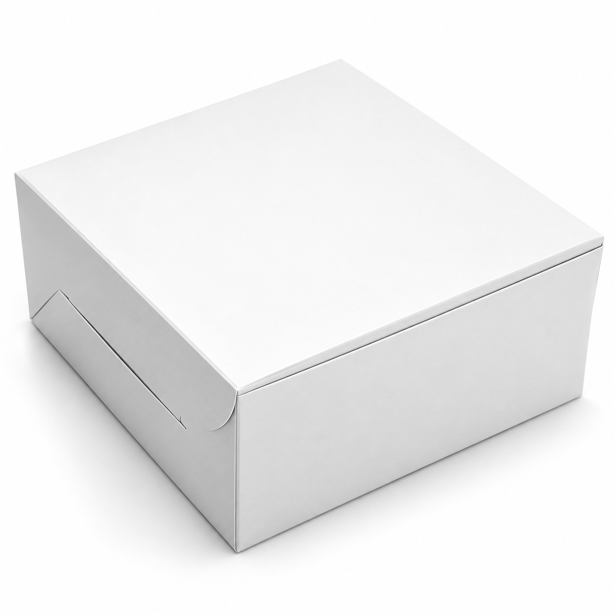White regular cake box