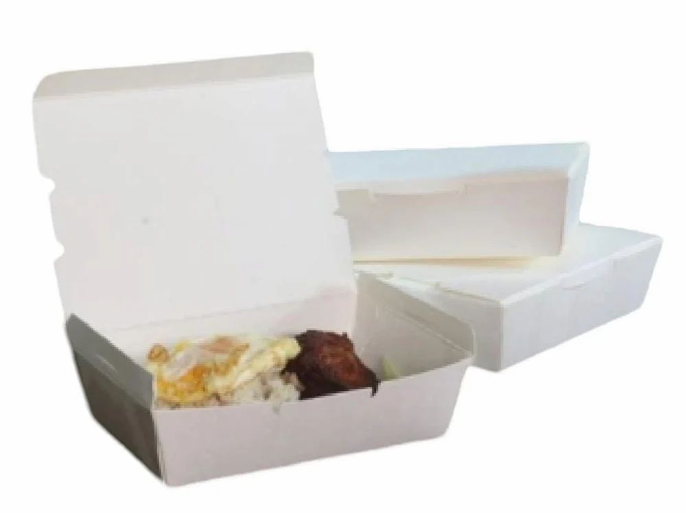 Disposable Paper Container