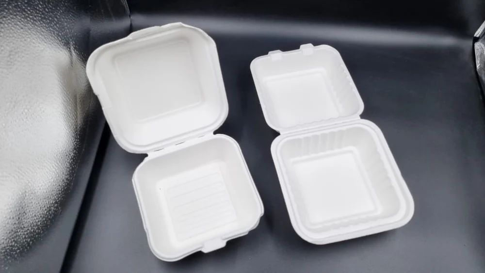 Sugarcane Bagasse Burger Boxes, view 5