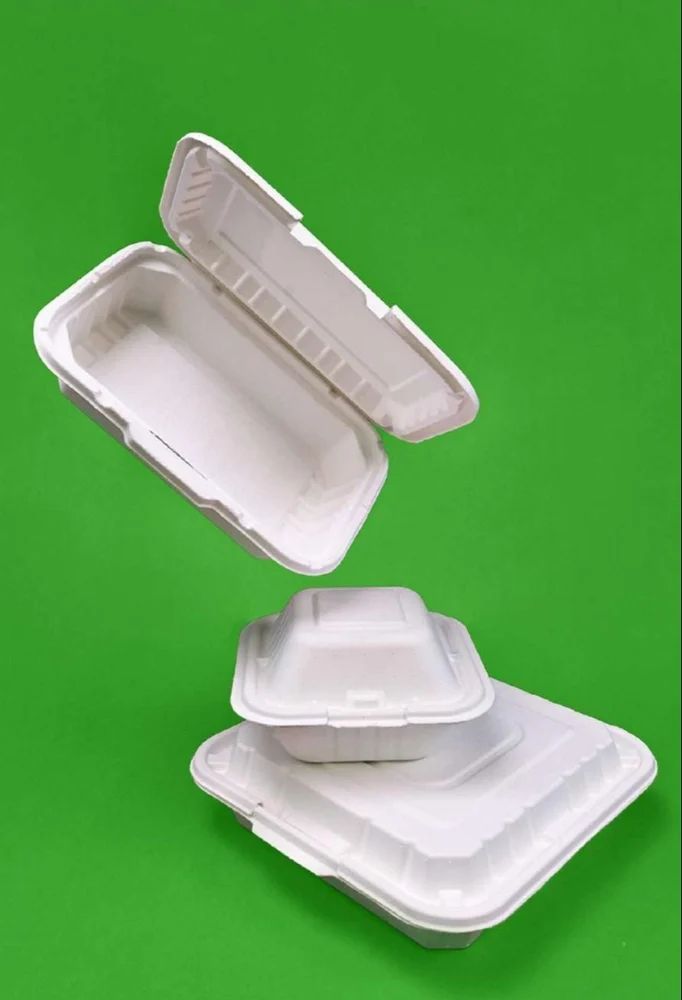 Biodegradable Sugarcane Bagasse Container
