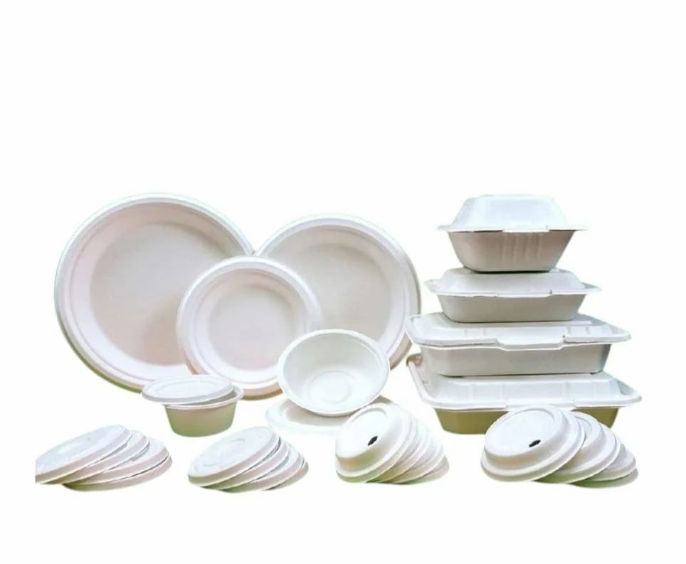Biodegradable Sugarcane Bagasse Container, view 2